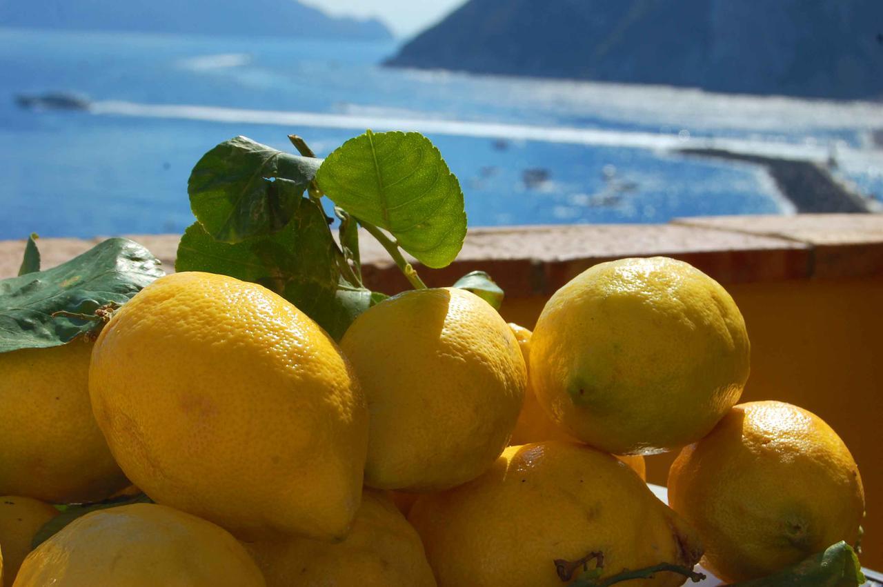 Bed and Breakfast La Terrazza Sul Mare Capri Exterior foto
